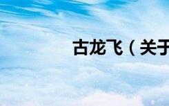 古龙飞（关于古龙飞介绍）