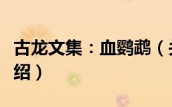 古龙文集：血鹦鹉（关于古龙文集：血鹦鹉介绍）