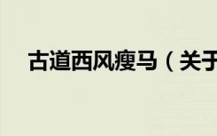 古道西风瘦马（关于古道西风瘦马介绍）