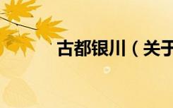 古都银川（关于古都银川介绍）