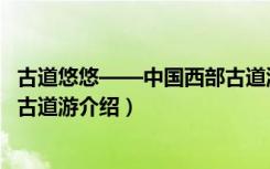 古道悠悠——中国西部古道游（关于古道悠悠——中国西部古道游介绍）