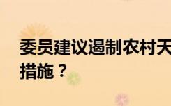 委员建议遏制农村天价彩礼陋习 具体有哪些措施？