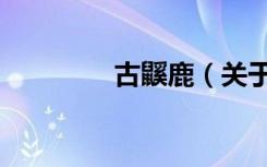 古鼷鹿（关于古鼷鹿介绍）