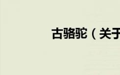 古骆驼（关于古骆驼介绍）