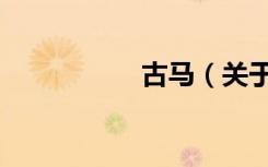 古马（关于古马介绍）
