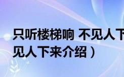 只听楼梯响 不见人下来（关于只听楼梯响 不见人下来介绍）