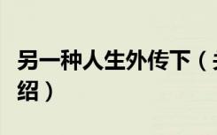 另一种人生外传下（关于另一种人生外传下介绍）