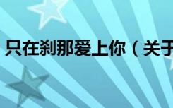 只在刹那爱上你（关于只在刹那爱上你介绍）