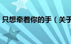 只想牵着你的手（关于只想牵着你的手介绍）