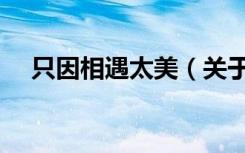 只因相遇太美（关于只因相遇太美介绍）
