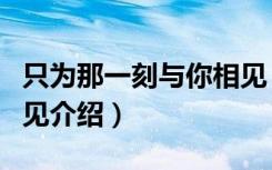 只为那一刻与你相见（关于只为那一刻与你相见介绍）