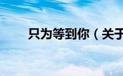 只为等到你（关于只为等到你介绍）