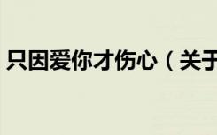 只因爱你才伤心（关于只因爱你才伤心介绍）