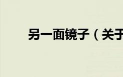 另一面镜子（关于另一面镜子介绍）