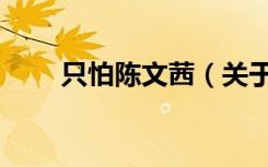 只怕陈文茜（关于只怕陈文茜介绍）