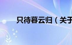 只待暮云归（关于只待暮云归介绍）
