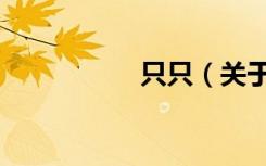 只只（关于只只介绍）