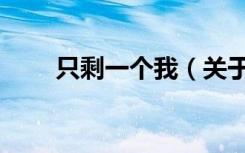 只剩一个我（关于只剩一个我介绍）