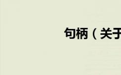 句柄（关于句柄介绍）