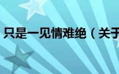 只是一见情难绝（关于只是一见情难绝介绍）