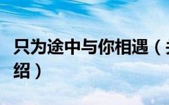 只为途中与你相遇（关于只为途中与你相遇介绍）