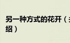 另一种方式的花开（关于另一种方式的花开介绍）