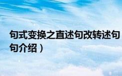 句式变换之直述句改转述句（关于句式变换之直述句改转述句介绍）