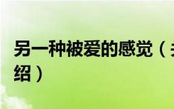 另一种被爱的感觉（关于另一种被爱的感觉介绍）