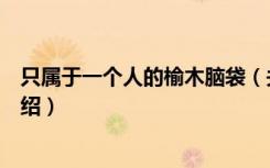 只属于一个人的榆木脑袋（关于只属于一个人的榆木脑袋介绍）