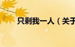 只剩我一人（关于只剩我一人介绍）