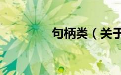 句柄类（关于句柄类介绍）
