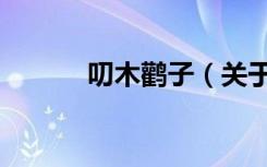 叨木鹳子（关于叨木鹳子介绍）