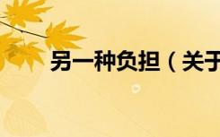 另一种负担（关于另一种负担介绍）