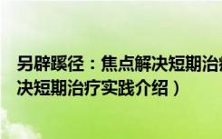 另辟蹊径：焦点解决短期治疗实践（关于另辟蹊径：焦点解决短期治疗实践介绍）