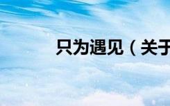 只为遇见（关于只为遇见介绍）