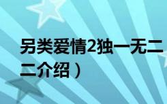 另类爱情2独一无二（关于另类爱情2独一无二介绍）