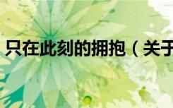 只在此刻的拥抱（关于只在此刻的拥抱介绍）
