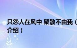 只怨人在风中 聚散不由我（关于只怨人在风中 聚散不由我介绍）