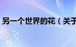 另一个世界的花（关于另一个世界的花介绍）