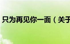 只为再见你一面（关于只为再见你一面介绍）