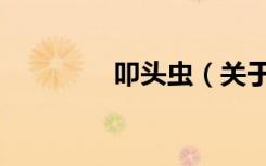 叩头虫（关于叩头虫介绍）