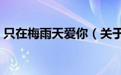 只在梅雨天爱你（关于只在梅雨天爱你介绍）