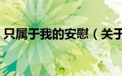 只属于我的安慰（关于只属于我的安慰介绍）