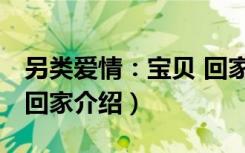 另类爱情：宝贝 回家（关于另类爱情：宝贝 回家介绍）