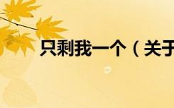 只剩我一个（关于只剩我一个介绍）
