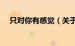 只对你有感觉（关于只对你有感觉介绍）