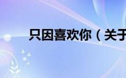 只因喜欢你（关于只因喜欢你介绍）