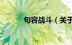 句容战斗（关于句容战斗介绍）