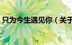 只为今生遇见你（关于只为今生遇见你介绍）