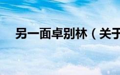 另一面卓别林（关于另一面卓别林介绍）
